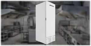 Freezer Vertical 560L EVZ21 Porta Cega